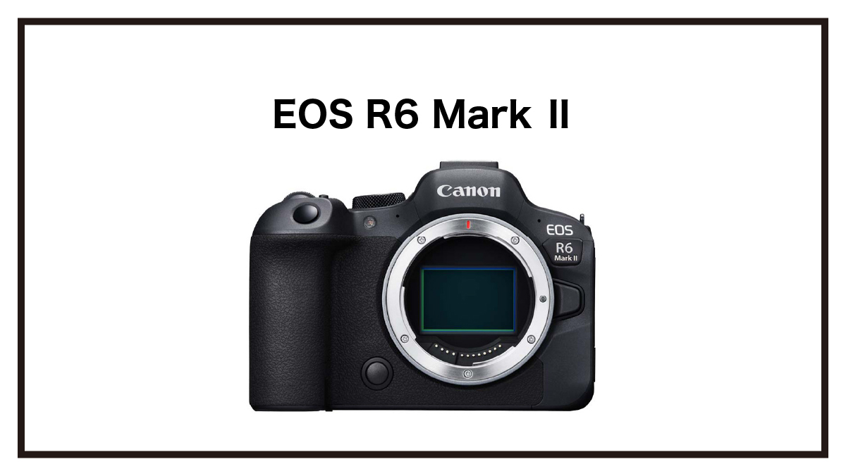 キャノンが新しいミラーレス『EOS R6 Mark Ⅱ』を発表！ | マナツカメラ