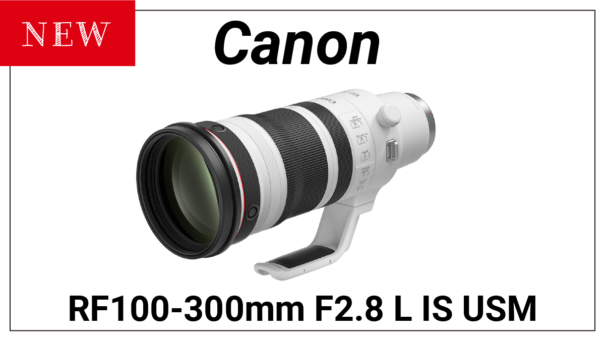 Canon純正 100-300mm 望遠レンズ